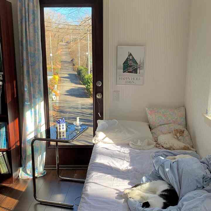 白と茶色のトーンの寝室、花柄のカーテンとベッド、2匹の猫がくつろぐ雰囲気のあるインテリア