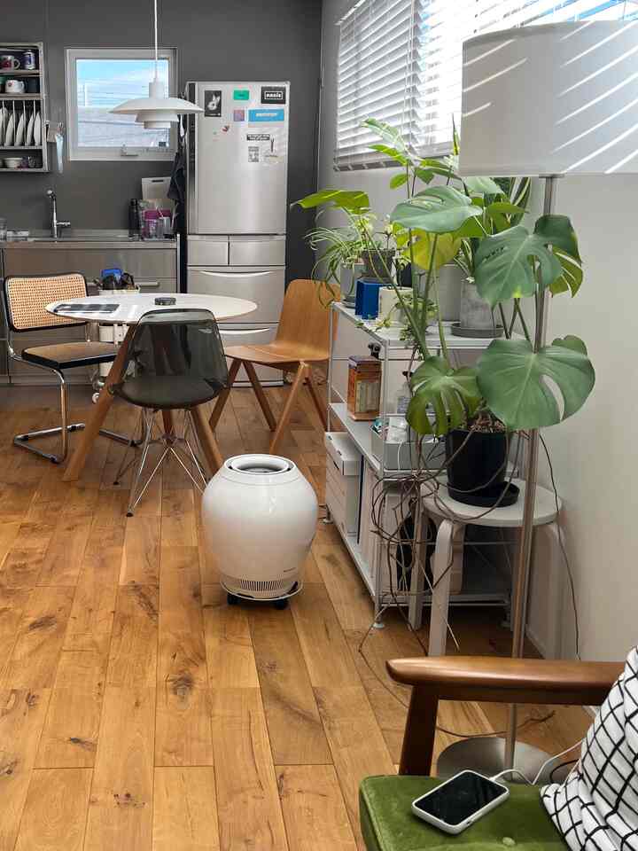ナチュラルな木目調と白を基調としたミッドセンチュリーモダンのキッチンダイニング、緑の植物とフロアランプが配置された雰囲気のある空間