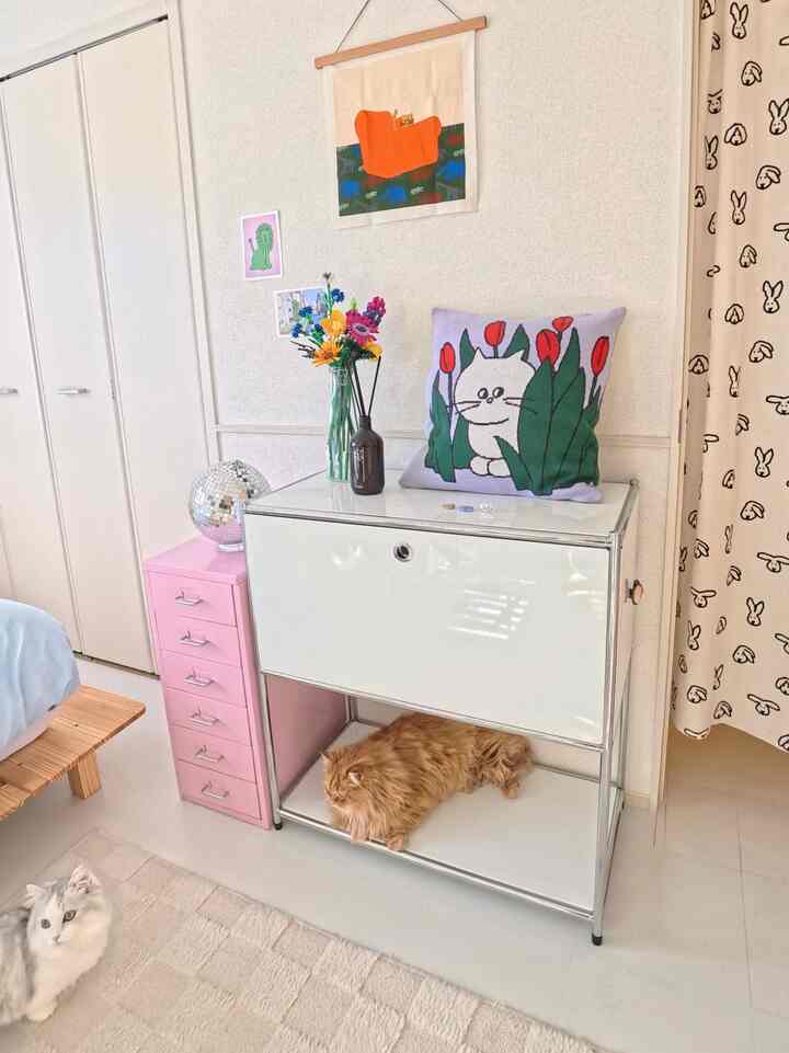 白い壁と自然な木目調の寝室の一角、2匹の猫と花の飾り、ポスターが配置された雰囲気のある空間