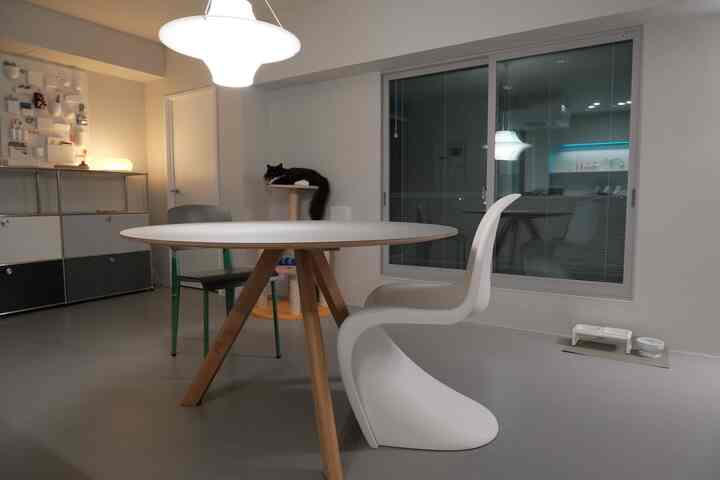 白と木目調のダイニングルーム、中央に丸テーブルとチェアが配置され、猫用タワーと食器が見える落ち着いた空間