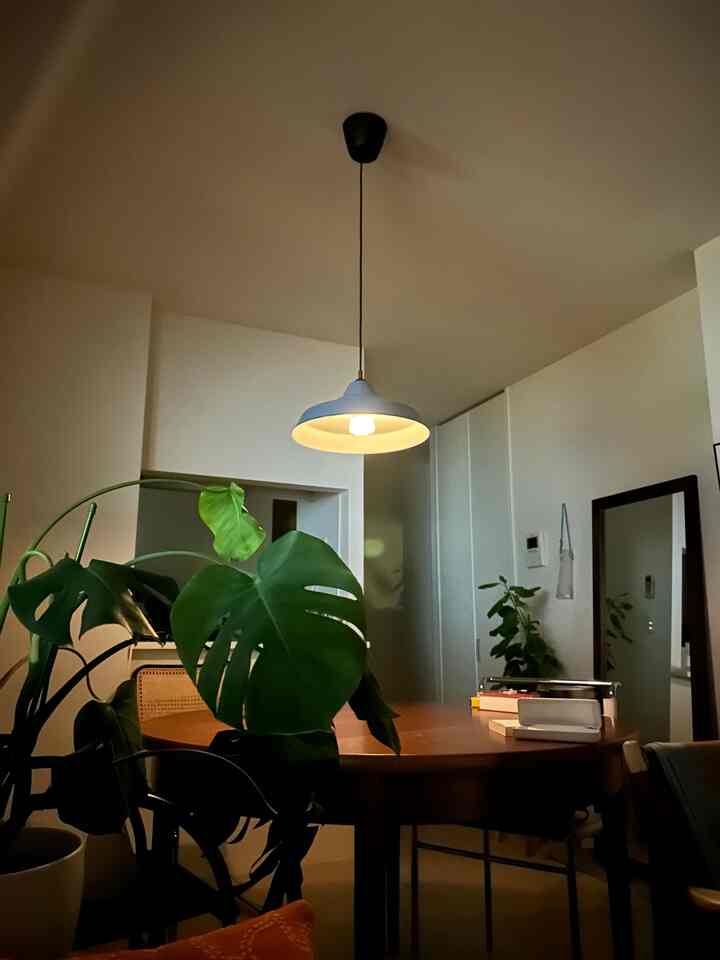 ナチュラルな木目調とグリーンが調和する一人暮らし用の狭いダイニング、ラウンドテーブルとペンダントライトが配された雰囲気のあるインテリア