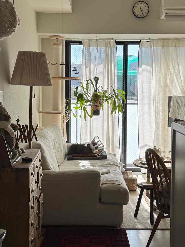 明るいベージュとホワイトのトーンの1LDKリビング、ソファとキャットタワー、カーテンが配置された自然で温かみのある空間