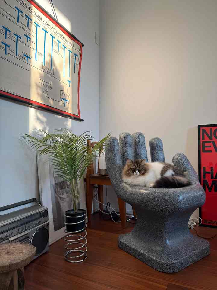 Natural living room with wood-tone flooring, mid-century modern furniture, and a unique hand-shaped armchair featuring a resting cat