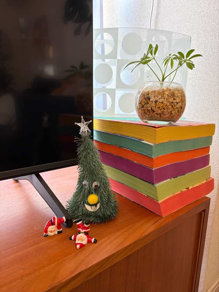 我が家のクリスマスグッズ🤶🏻🎄
小さいサンタやスノードームはショップで購入したもの✌🏻
どんどん増やしていきたい、、😼💛

#クリスマス雑貨 #クリスマスグッズ