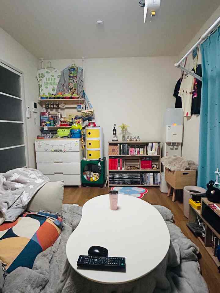 Natural-toned 1K living room featuring a reclining sofa and bookshelf in a cozy single occupancy space