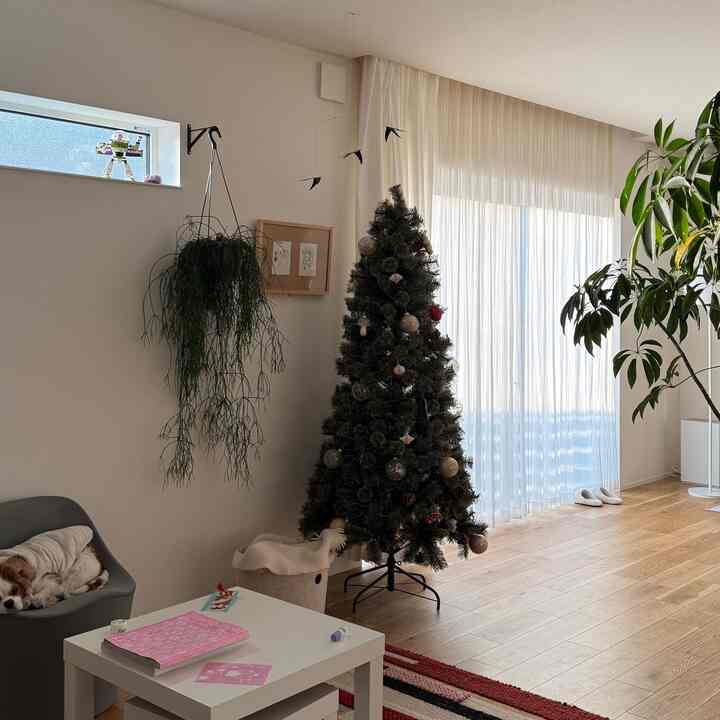 ホワイトとナチュラルカラーのリビング、クリスマスツリーと犬がいる雰囲気のあるインテリア