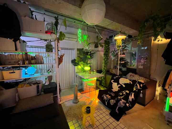 緑色のネオン照明と観葉植物が配置されたワンルームのリビング、猫柄のブランケットがある居心地の良い空間
