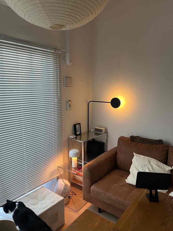 白と木目調の1人暮らし用リビング、ソファとペット用品、猫がいる温かみのある雰囲気のあるインテリア