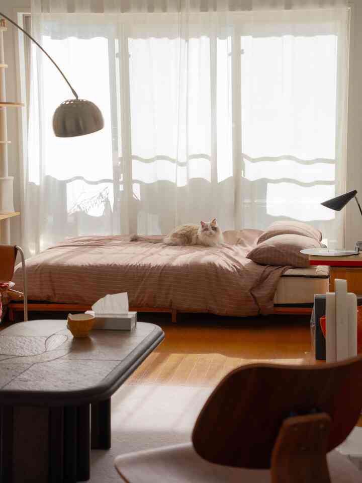 Warm-toned studio bedroom featuring brown bedspread, pillows, and a cat lying on the bed in a natural setting