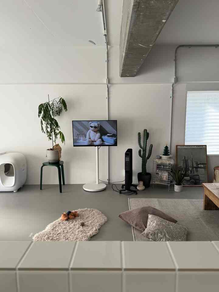 大きめの家具を入れたい
ソファもダイニングテーブルも新調したい…！

#リビング
#リノベーション
#マンションリノベ
#一人暮らし
#猫と家