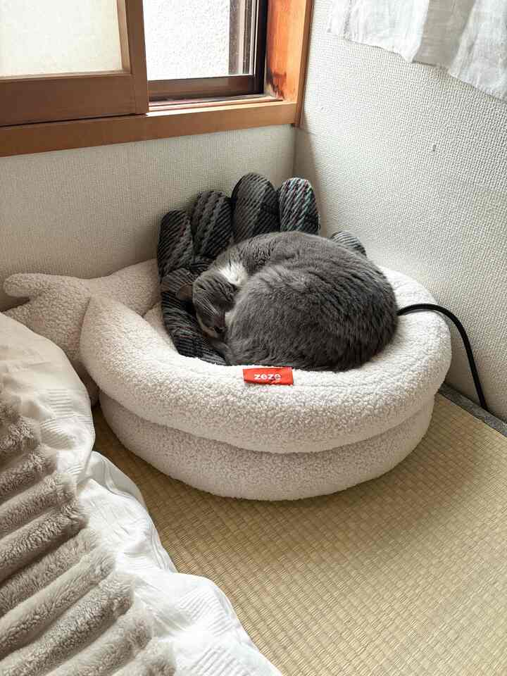 アイボリーとナチュラルカラーの畳の部屋の一角に、ペットベッドと丸くなったグレーの猫が置かれた、雰囲気のあるインテリア