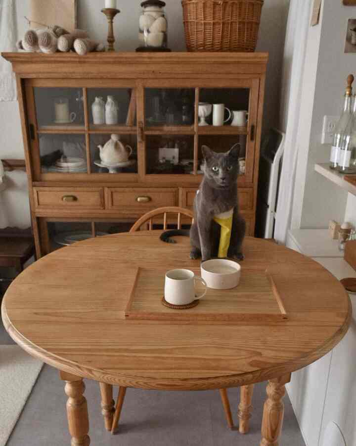 ライトブラウンの木目調ダイニング、丸テーブルの中央に猫がいるナチュラルでヴィンテージな雰囲気のインテリア