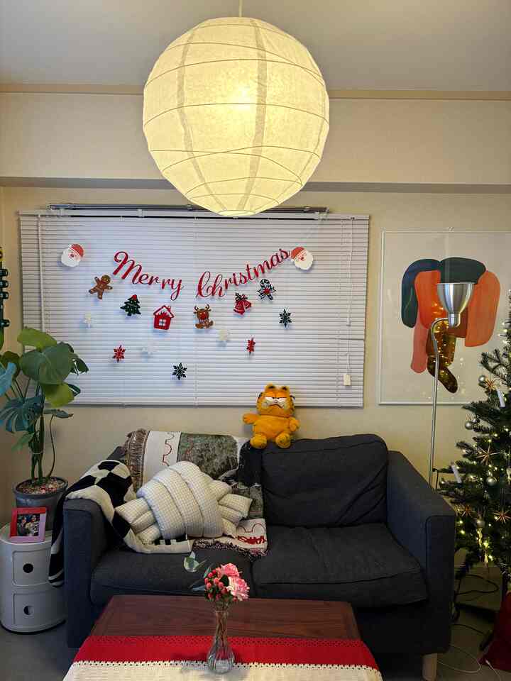 この週末は我が家でクリスマスパーティー🎉
sheinのオーナメント使えます😼

#クリスマスパーティー #クリスマス雑貨