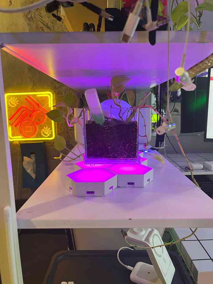 さぶあかです。植物シェルフと化しつつある我が家の棚です。ランプと相まってメカと草を体現してて気に入ってます。

割と蛸足配線なのですが、配線は整えすぎない方が使いやすくカッコ良いと思っています。デザイン＜機能性派なので、整えすぎて生活や付け替えたりがしにくくならないようにしています。

#ワンルーム #メカと草 #ハイセンス配線 #リノベーション #diy 