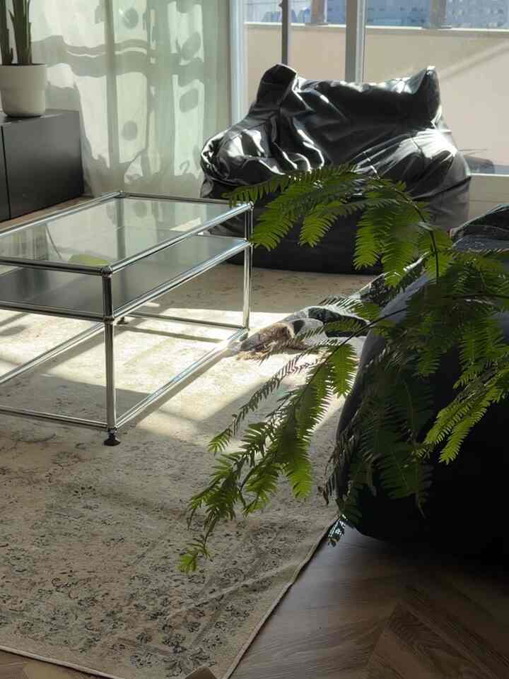 #dekorasiruangan
#pengenalanruangan
#dekorasiulang
#koordinasiinterior
#hidupdenganbarangbagus
#kehidupanibu
#kehidupanibupekerjaan
#hariini
#hariini
#ohaus
#ohouse
#rumahhariini
#interiorkorea
#ruangkorea
#kehidupankorea