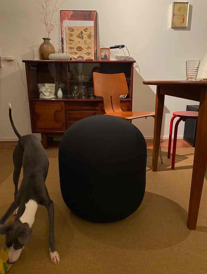 ブラウンの木目調家具と黒いビーズクッション、ペットの犬がいるリビングスペース