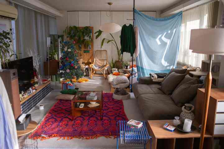 Natural-toned studio living room featuring a large sofa, vibrant rug, and a cozy cat bed with a pet cat