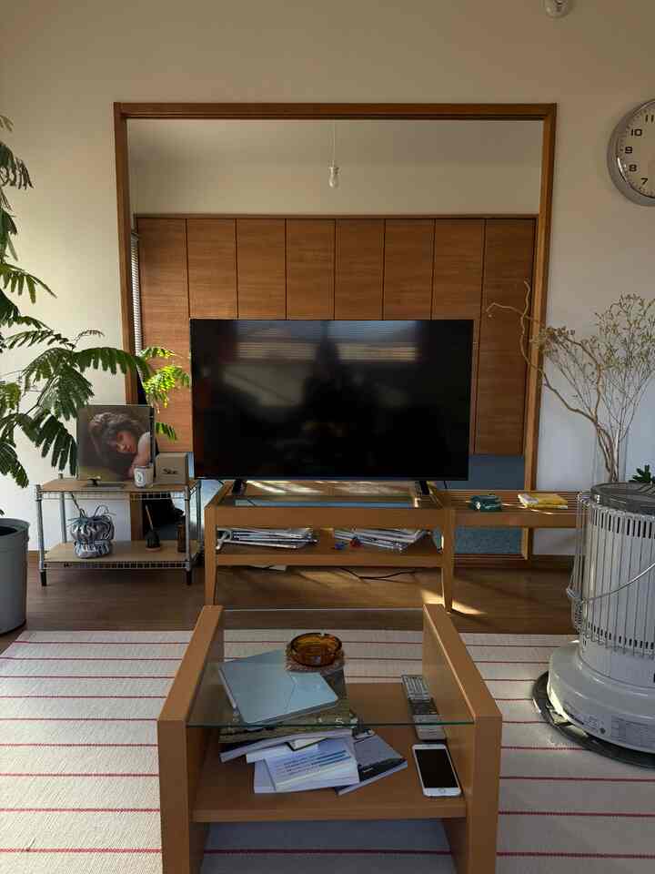 木目調のあたたかみのある北欧風リビング、二人暮らし向けに大きなテレビとコーヒーテーブル、植物が配置された印象的な空間