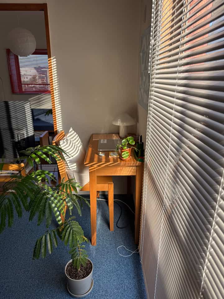 ネイビーのカーペットと木目調のデスクが配置された小さなホームオフィス、白いブラインドから差し込む日差しが印象的な空間