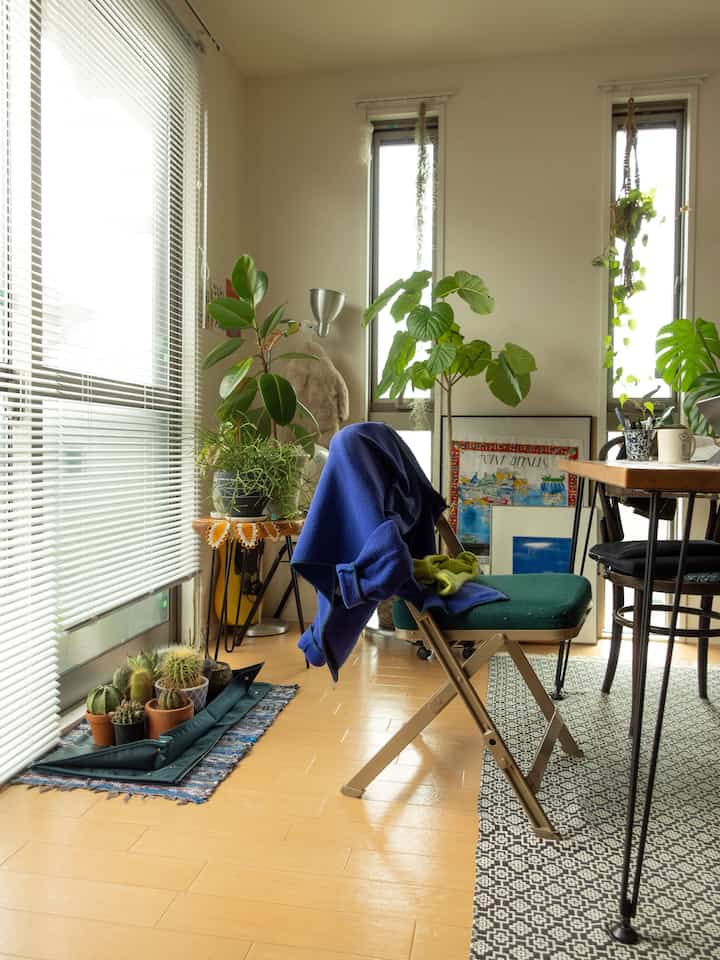 明るい白と自然なブラウンのトーンが特徴の1LDKのリビング、緑豊かな観葉植物と折りたたみ椅子が配置された雰囲気のある空間