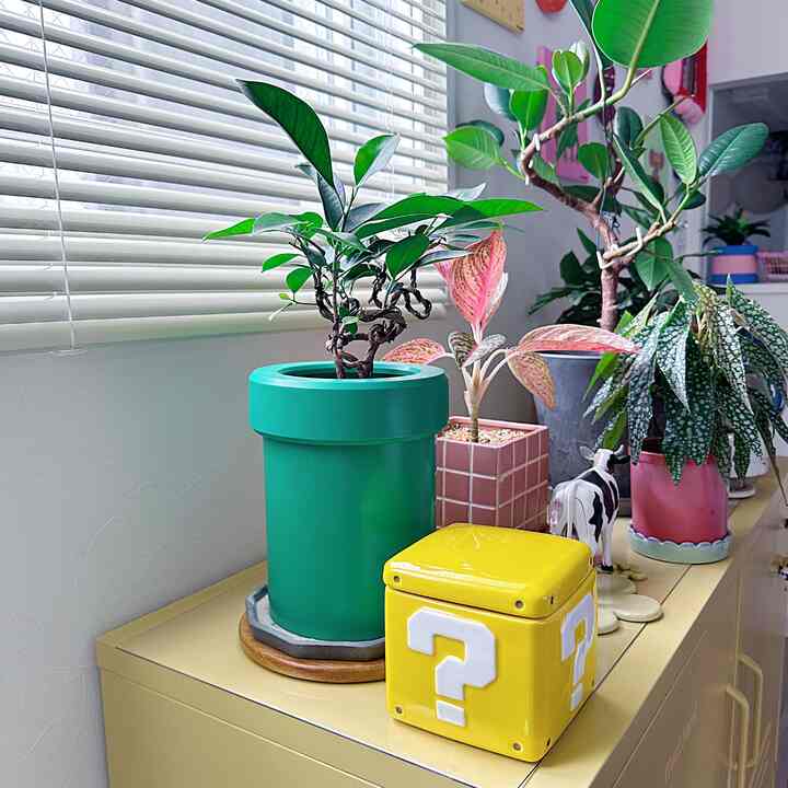 Akhirnya aku pergi ke Nintendo Shop dan membelinya! 🥹♡
Sebenarnya aku ingin mengebor lubang di bagian bawah Balok Tanda Tanya dan mengubahnya menjadi pot bunga... tapi aku terlalu takut untuk mencobanya...

#Projector #おうち時間 #インテリア #カラフル #인테리어 #원룸인테리어 #집스타그램 #리빙 #홈스윗홈 #カラフルなインテリア #かわいい #かわいいインテリア #かわいい家 #ピンク #イエロー #キャニスター #植木鉢 #植物 #ゲーム #任天堂

