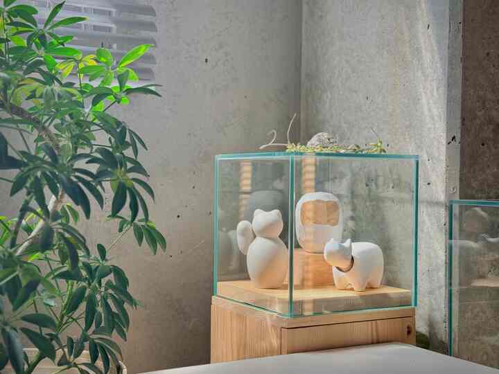 January 1, 2026

Happy New Year! 🎍

Thank you for your continued support this year.

To kick off the new year, we'll be showcasing our favorite beckoning cats and akabeko, including our newest addition, Ryota Nishimoto's white daruma.

#Folkcrafts #民藝品 #だるま #赤べこ #招き猫
