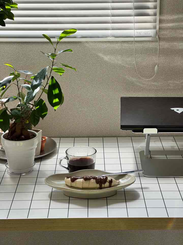 2026あけましておめでとうございます。

ohouseでもらったガジュマル成長中🟢

#賃貸インテリア　#ikeajapan 