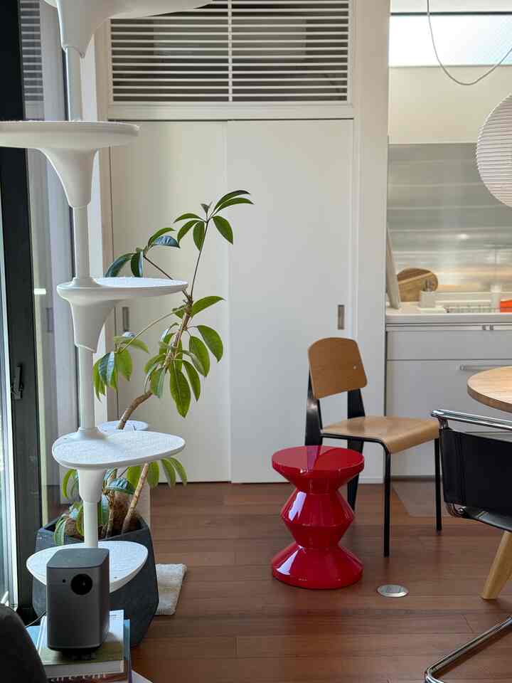 木目調と赤のアクセントがあるリビング、キャットタワーとミッドセンチュリーモダン家具が配置された印象的な空間