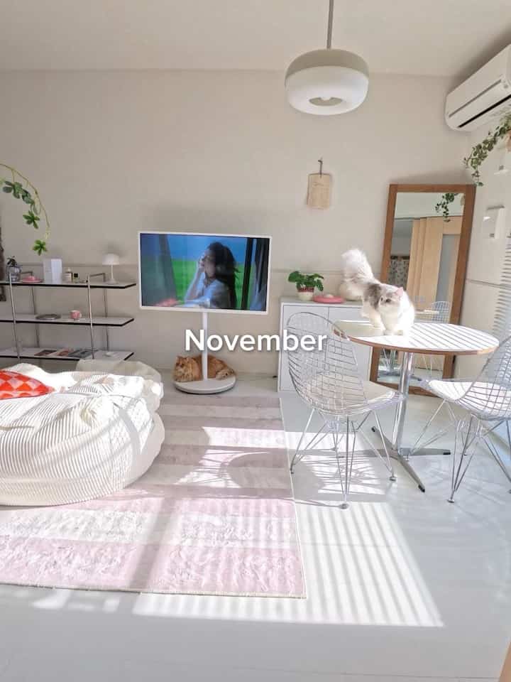 白とピンクの色調のリビング、ビーズクッションソファとテレビ台、猫がいるシンプルな印象的な空間