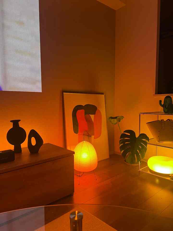 プロジェクターの画面投影を邪魔しないように高さを抑えるインテリア。

フラワーベースはお花を生けなくてもインテリアとして使えるので大好きです💐

#フラワーベース #プロジェクターのある暮らし
#間接照明 #観葉植物 ロナンブルレック