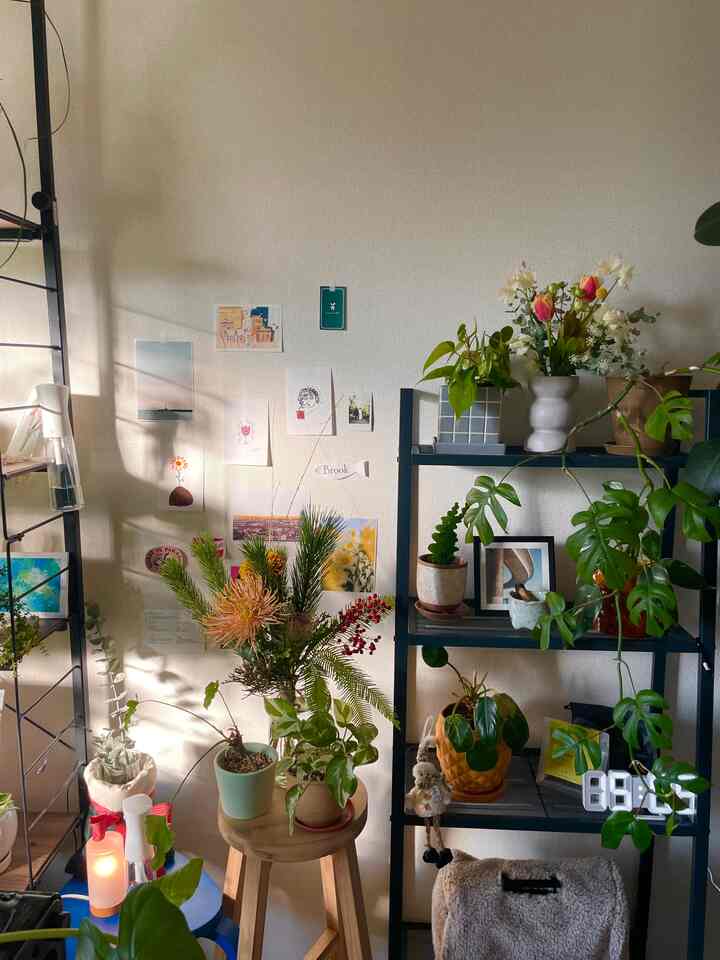ブラックの鉄製棚と木製スツールに多様な植物と花瓶が配置された、自然で温かみのあるリビングスペース