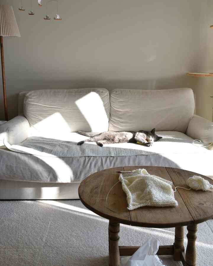 日差しの差し込む白いソファと木目調の丸テーブルが配置された暖かいリビング、ソファの上でくつろぐ猫がいる