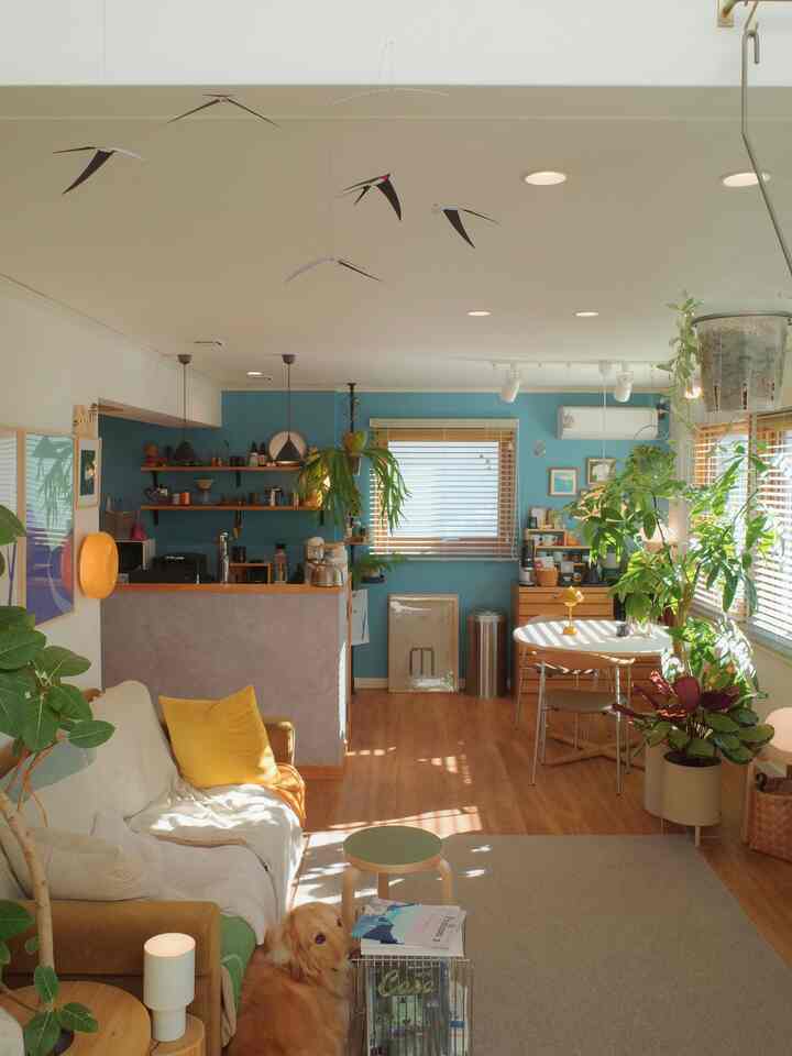 A recent Scandinavian pop home🏠 
#ScandinavianPop
#pop
#color