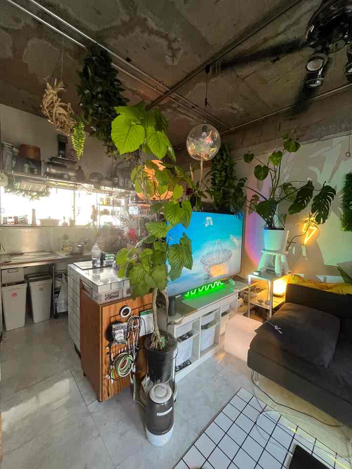 Cozy living room with natural green plants, pendant lighting, and a black sofa creating a warm atmosphere