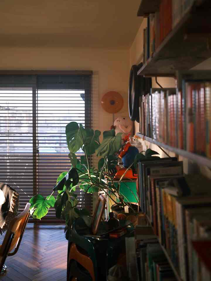 実家に図書室見たいな部屋があって、そこが好きなので壁全面にしようと思ったけどとりあえず半分だけ本棚になった。

夫婦の趣味思考の違いがわかって面白い


#中古マンションリノベーション
#マンションインテリア
#本棚インテリア
#ブラインドのある暮らし
#植物のある部屋
#リビングインテリア
#光と影のある暮らし
#플랜테리어
#블라인드인테리어
#오하우스