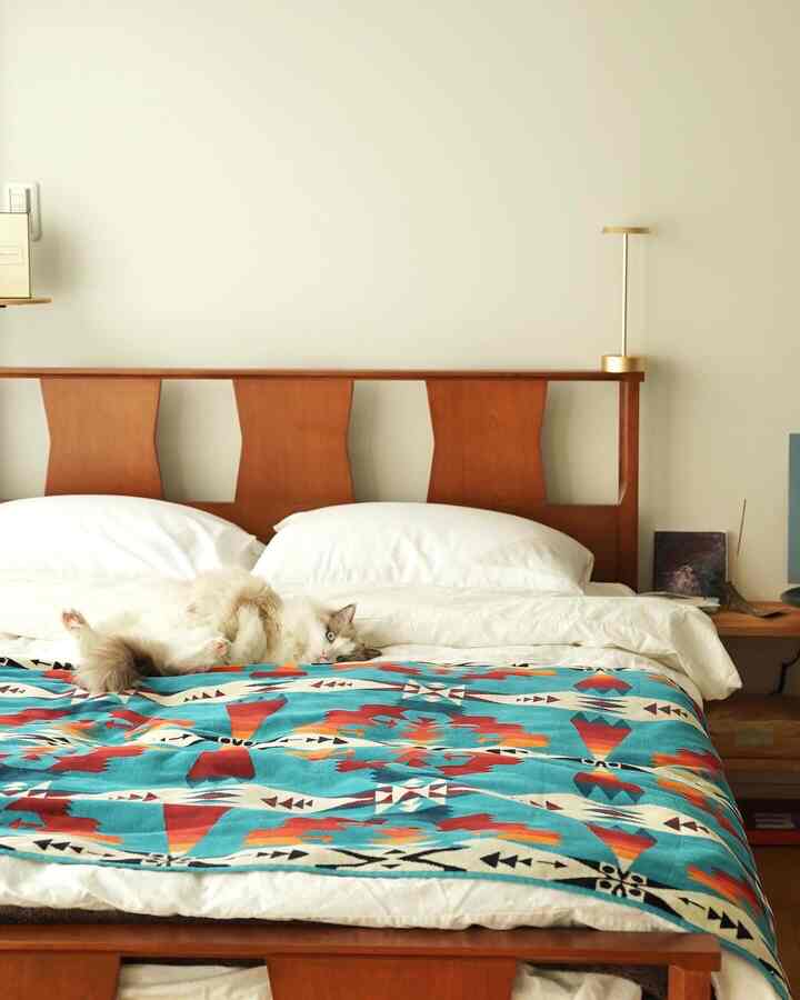 白い壁と木の色調の家具が調和したワンルームの寝室、ベッドの上でくつろぐ猫が印象的な空間