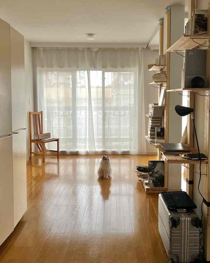 Natural color simple living room featuring bookshelf and minimal decor, with a cat sitting centrally on wooden floor