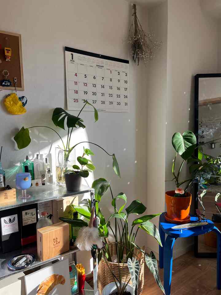 白い壁と青いテーブルが調和するダイニング横の植物豊かなミニマルな空間