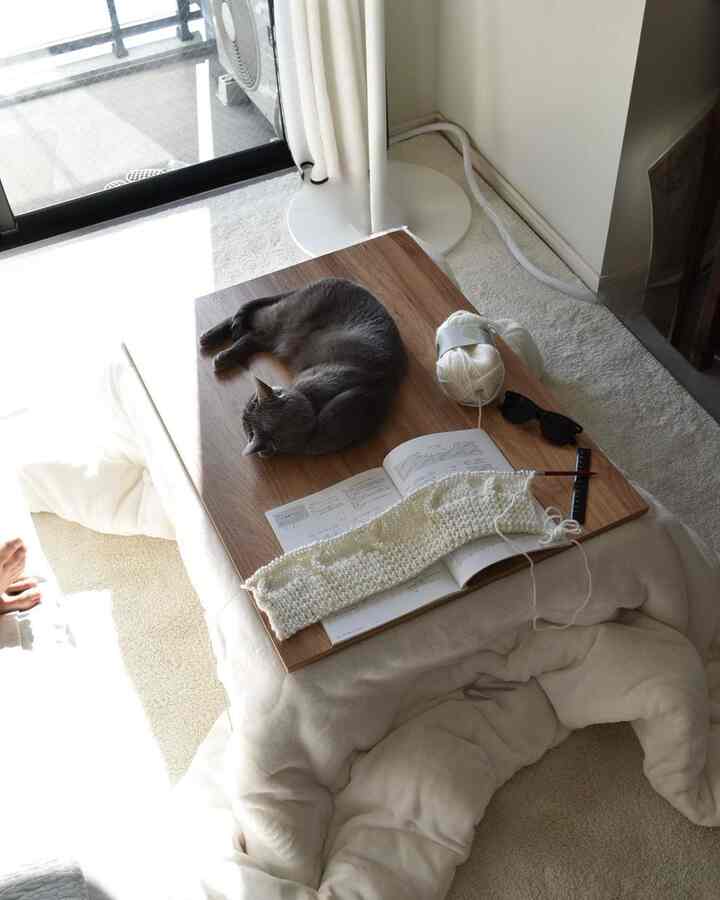 こたつと猫と編み物。
癒ししかない我が家。

#猫 #cat #猫とインテリア
#猫との暮らし #賃貸 #1LDK #こたつ
#こたつ布団 #マンション #アンティーク
#除湿機 #家電 #インテリア