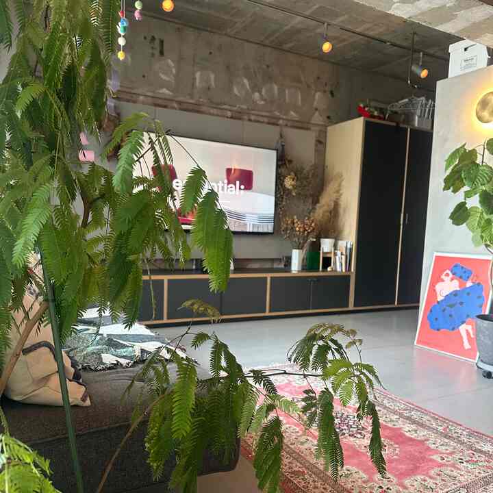 Natural-toned industrial living room featuring a dark gray sofa and colorful poster with plants and modern furniture