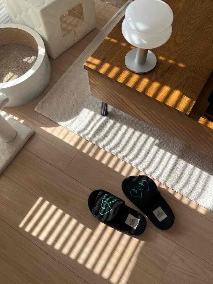 ナチュラルな木目調と白いラグが印象的な1LDKのリビング、キャットハウスとスリッパが置かれた温かみのあるインテリア