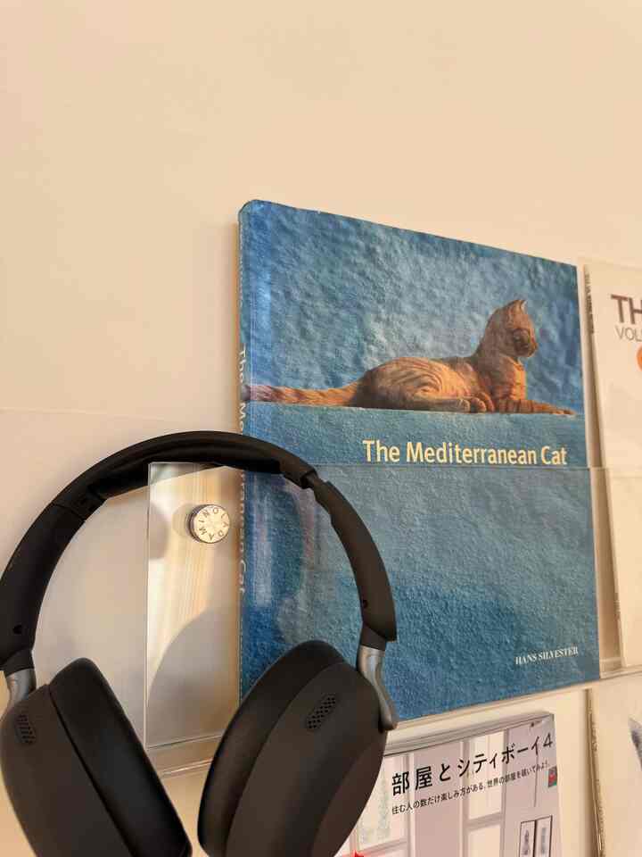 Mid-Century Modern styled space with transparent acrylic wall shelf holding a cat-themed book on bright ivory wall