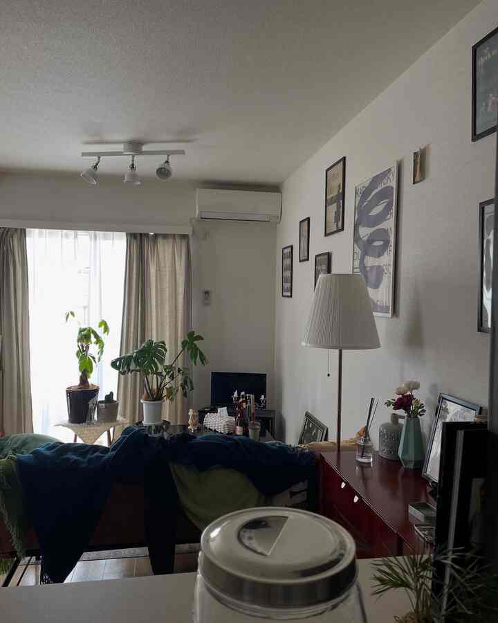 Compact living room for single household with white walls and ceiling, brown sofa, and green plants