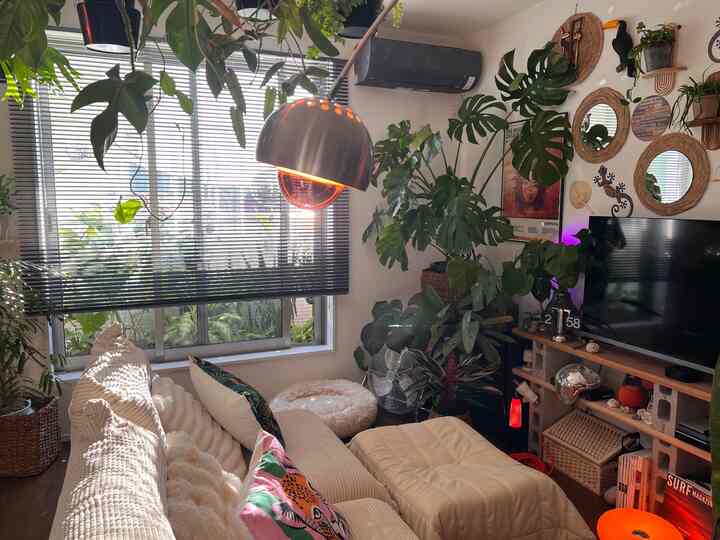 お気に入りの眺め
ソファーも電球も可愛いんだ🛋️

#ミッドセンチュリー
#ミッドセンチュリーモダン
#3LDk
#エジソン電球
#間接照明
#グリーンのある暮らし
#リビングインテリア
#ソファー

