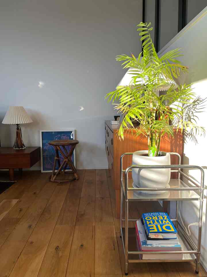 Natural color wooden floor and vintage furniture featuring a plant on a steel rack in a cozy living room space