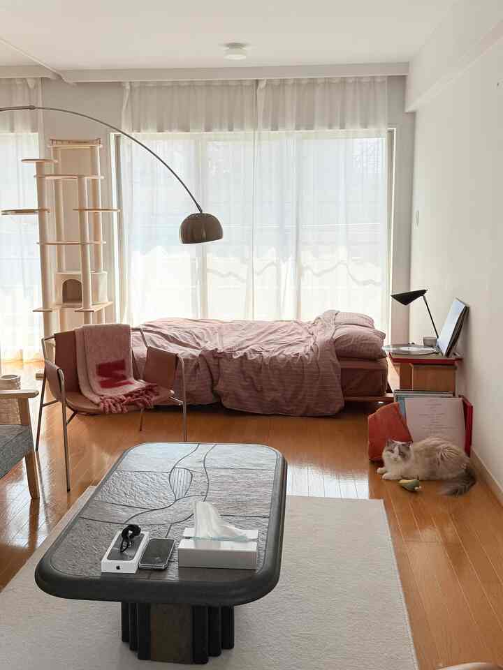 明るいベージュ調の55㎡ワンルーム、ベッドとコーヒーテーブル、キャットタワーとくつろぐ猫が配置された居心地の良い一人暮らしのインテリア