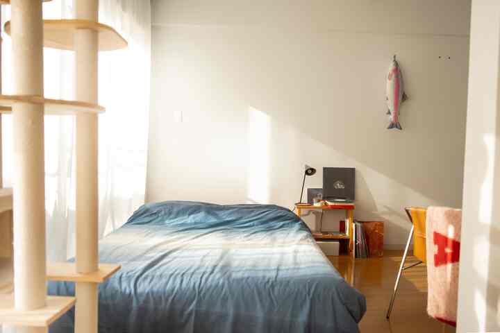 白い壁とカーテンが背景のワンルーム寝室、青い掛け布団カバーのベッドと左手前にベージュのキャットタワーがある温かみのある空間