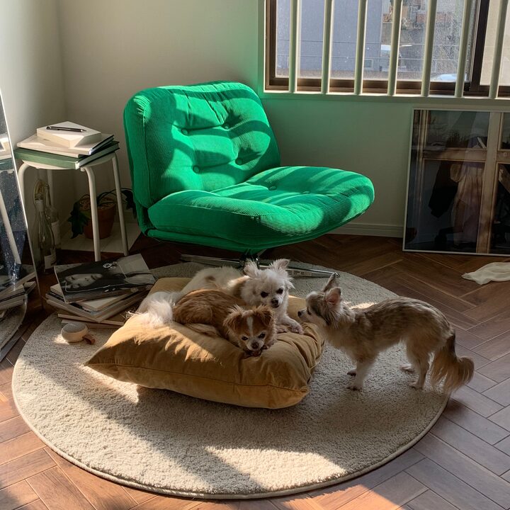 short form carousel card thumbnail