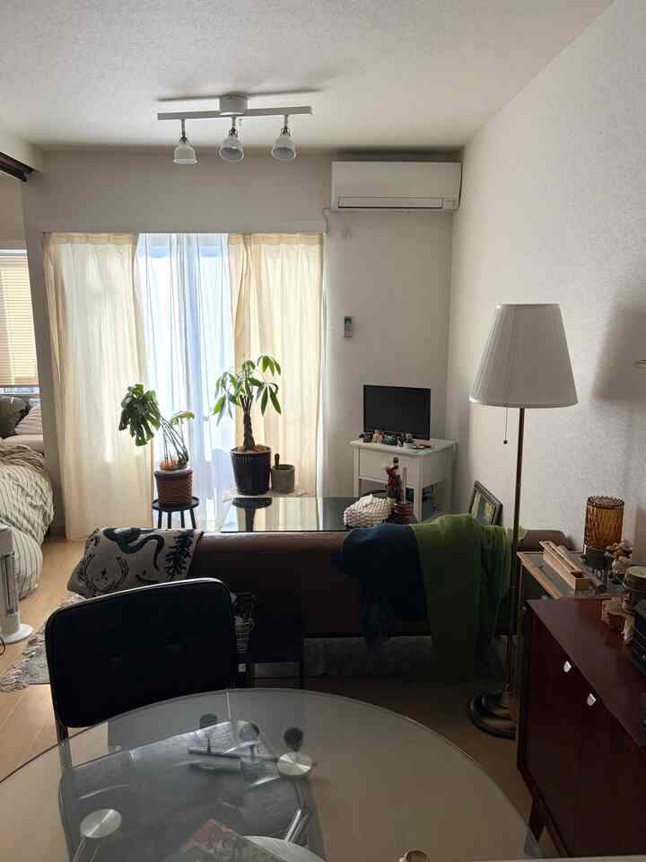 明るいホワイトトーンとブラウン家具、植物が配置された一人暮らし用の1LDKリビング