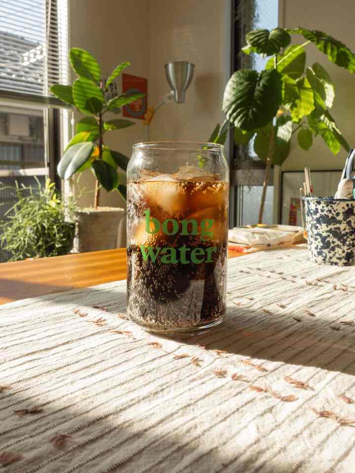 暖かい自然光が差し込む1LDKのリビング、ダイニングテーブルと緑の植物が配置された雰囲気のある空間